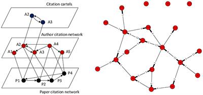 Toward the Discovery of Citation Cartels in Citation Networks